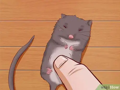 Image intitulée Care for Baby Mice Step 8