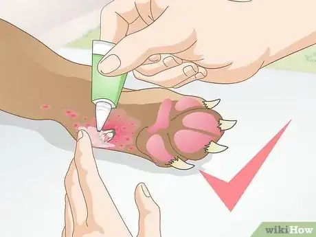 Image intitulée Care for a Dog's Dew Claw Step 10
