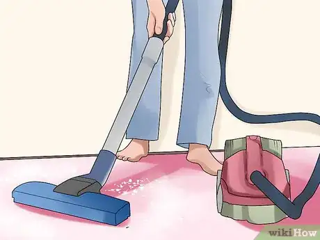 Image intitulée Apply Diatomaceous Earth to Carpet Step 9
