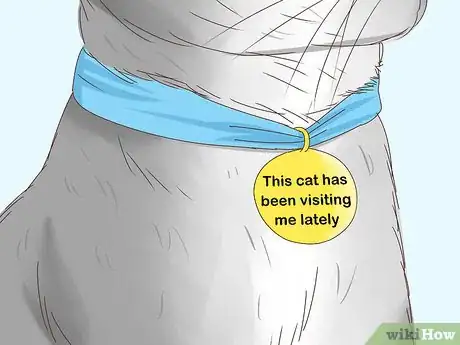 Image intitulée Know if a Cat Is a Stray Step 12
