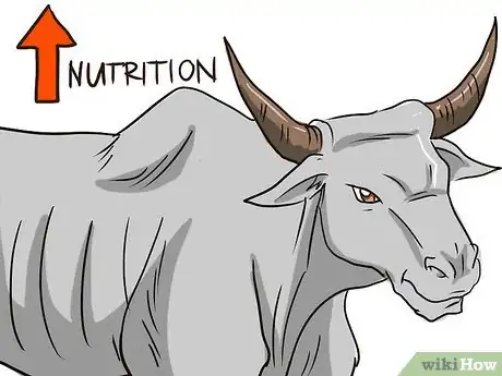 Image intitulée Feed Cattle Step 2Bullet2