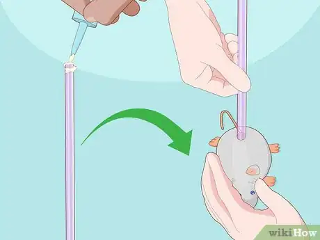 Image intitulée Make Cat Toys out of Common Household Items Step 11