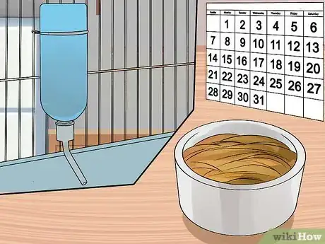 Image intitulée Care for Baby Guinea Pigs Step 9