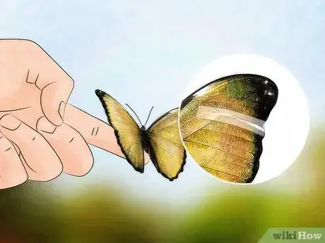 Image intitulée 1553905 9 1