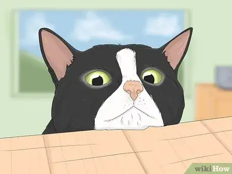 Image intitulée Communicate with Animals Step 1