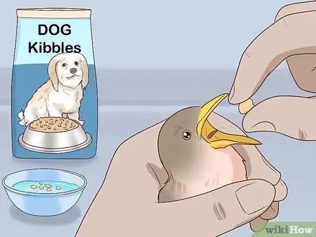 Image intitulée Care for Wild Baby Birds Step 20