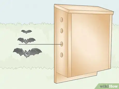 Image intitulée Build a Bat Box Step 1