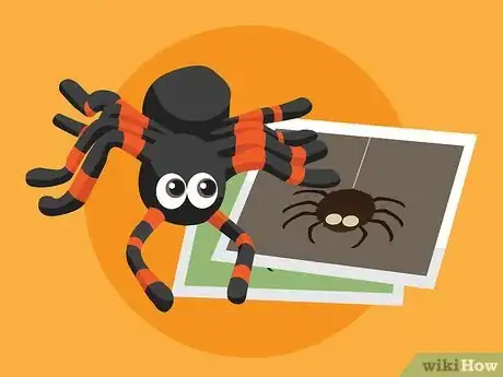 Image intitulée Overcome the Fear of Spiders Step 04