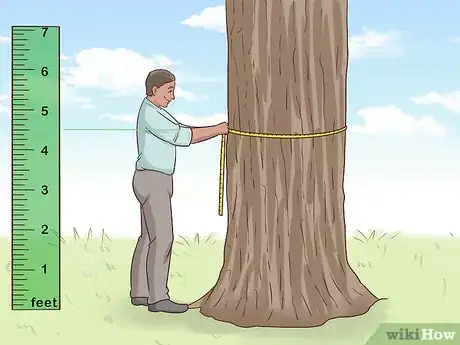 Image intitulée Determine the Age of a Tree Step 1
