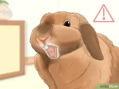 Image intitulée Communicate with Animals Step 2