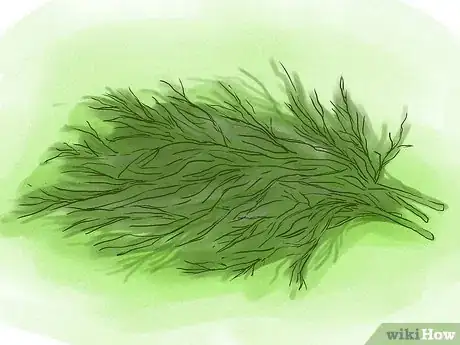 Image intitulée Naturally Increase Breast Size Step 16