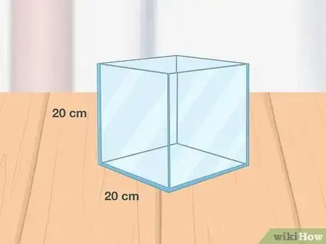 Image intitulée Care for Slugs Step 1