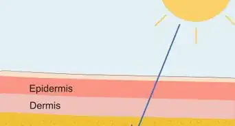 absorber au mieux les compléments alimentaires à la vitamine D