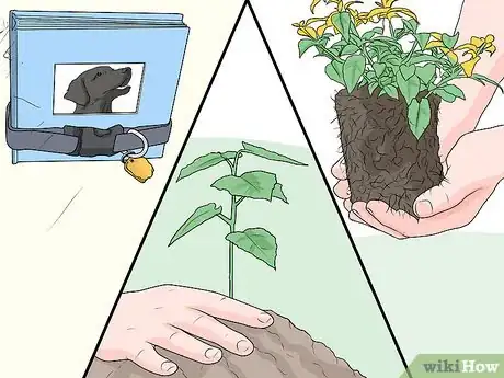 Image intitulée Determine if Your Dog Has Passed Away Step 7