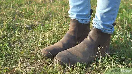 Image intitulée Groom a Horse Step 12