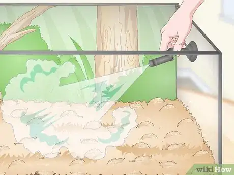 Image intitulée Build a Vivarium Step 10