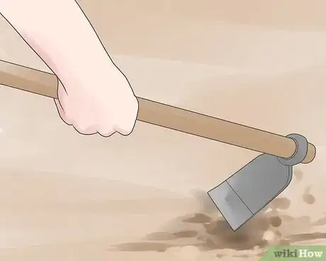 Image intitulée Keep Weeds Out of Your Vegetable Garden Step 1