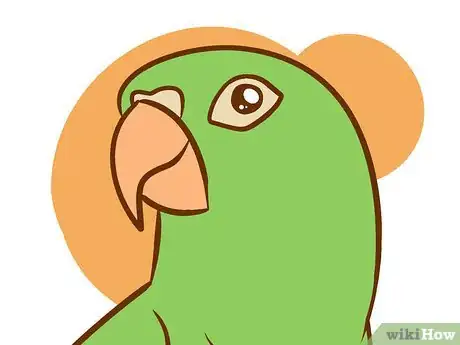 Image intitulée Care for a Conure Step 1Bullet2