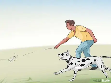 Image intitulée Help Dogs with Joint Problems and Stiffness Step 8