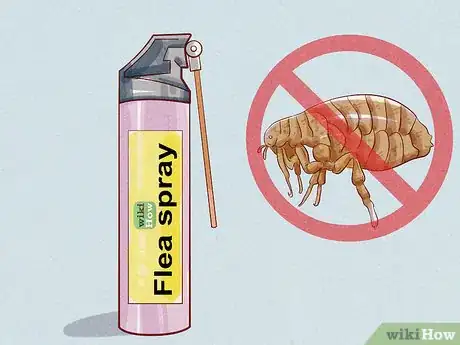Image intitulée Tell if Your Dog Has Fleas Step 11
