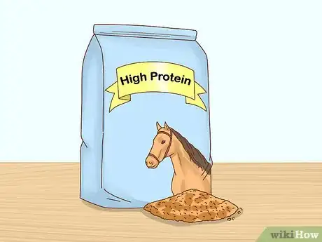 Image intitulée Fatten up a Horse Step 9