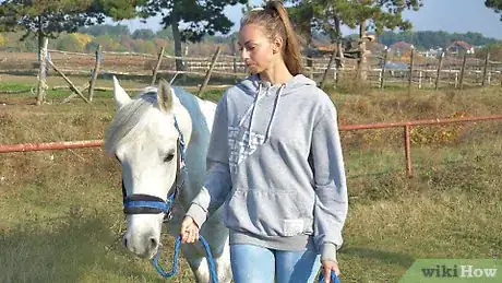 Image intitulée Groom a Horse Step 13
