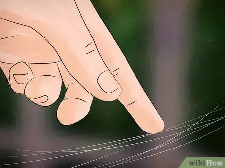Image intitulée Identify a Hobo Spider Step 7