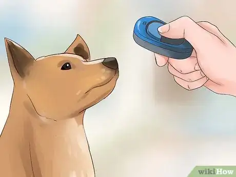 Image intitulée Keep Your Dog from Chasing Cats Step 12