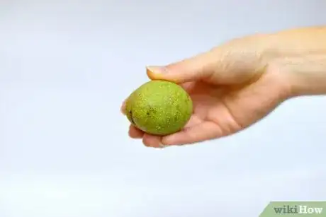 Image intitulée Toast Walnuts Step 15