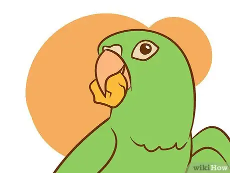 Image intitulée Care for a Conure Step 1Bullet7