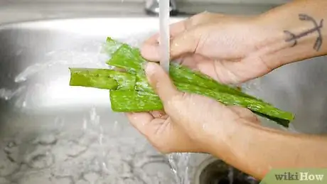 Image intitulée Make Aloe Vera Juice Step 1