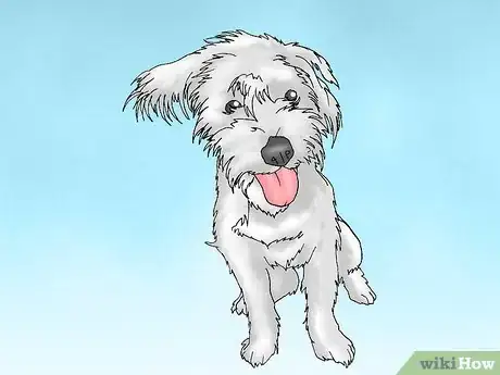 Image intitulée Care for a Dog with a Torn ACL Step 9