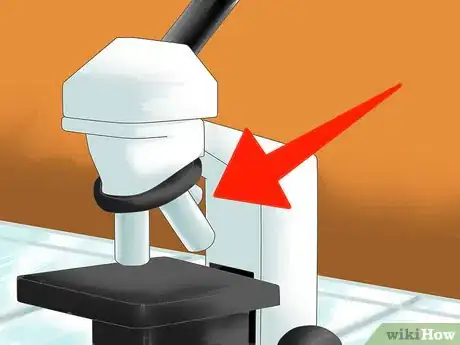 Image intitulée Tell the Difference Between Prokaryotes and Eukaryotes Step 3