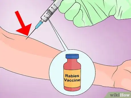 Image intitulée Remove Porcupine Quills Step 25