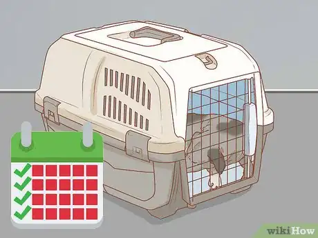 Image intitulée Help a Dog Recover from a Broken Leg Step 14