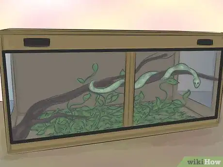 Image intitulée Feed a Snake Frozen Food Step 6