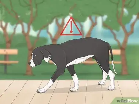 Image intitulée Handle a Dog Attack Step 15