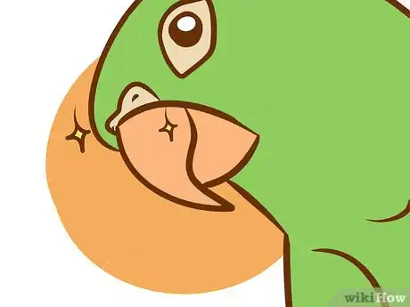 Image intitulée Care for a Conure Step 1Bullet3