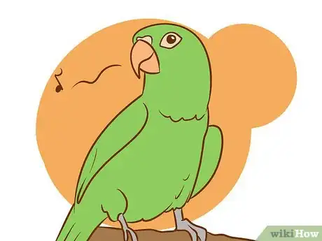 Image intitulée Care for a Conure Step 1Bullet6