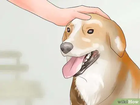 Image intitulée Keep Your Dog from Chasing Cats Step 15