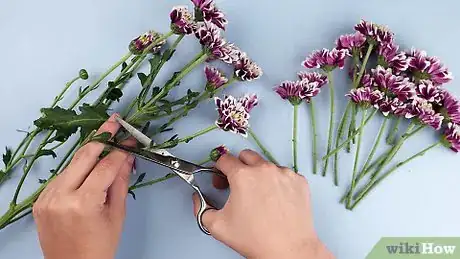 Image intitulée Make a Flower Crown Step 13