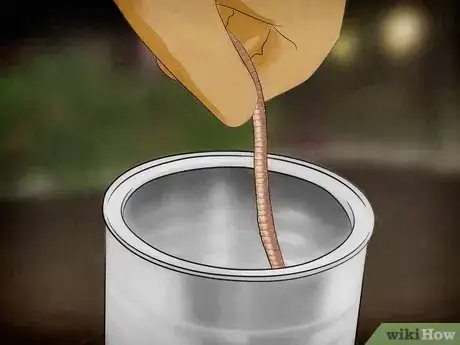Image intitulée Catch Worms Step 8