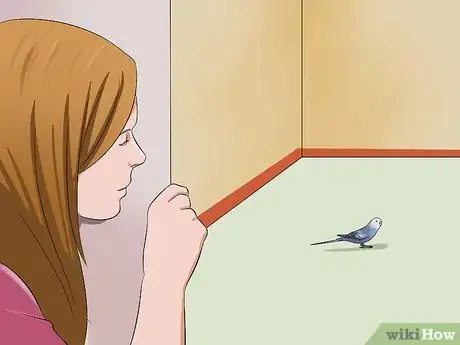 Image intitulée Play With Your Budgie Step 8