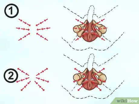 Image intitulée Do PC Muscle Exercises Step 6