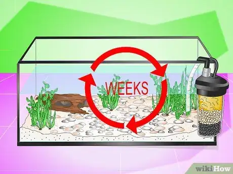 Image intitulée Set up a Fish Tank (for Goldfish) Step 5