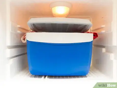 Image intitulée Make Clear Ice Step 10