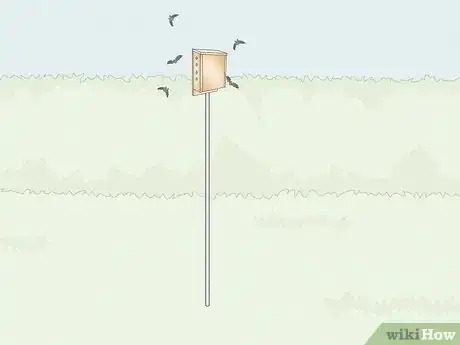 Image intitulée Build a Bat Box Step 2