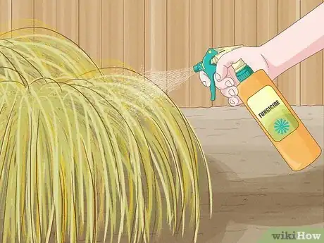 Image intitulée Grow Pampas Grass Step 15