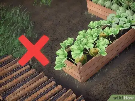 Image intitulée Keep Animals Out of Your Vegetable Garden Step 9