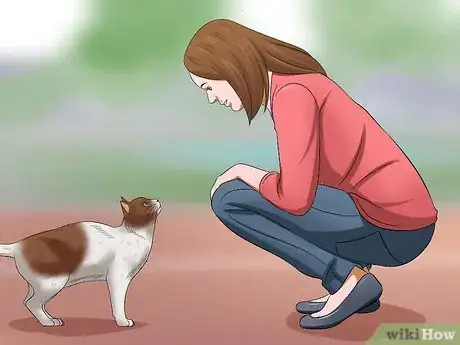 Image intitulée Carry a Cat Step 10